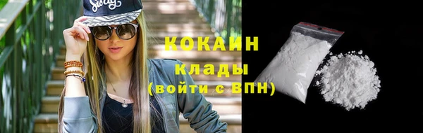 spice Аркадак