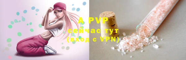spice Аркадак