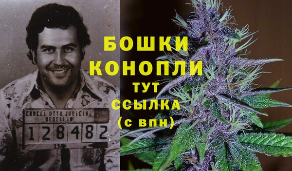 spice Аркадак