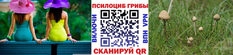 Галлюциногенные грибы Psilocybine cubensis  Спас-Деменск 